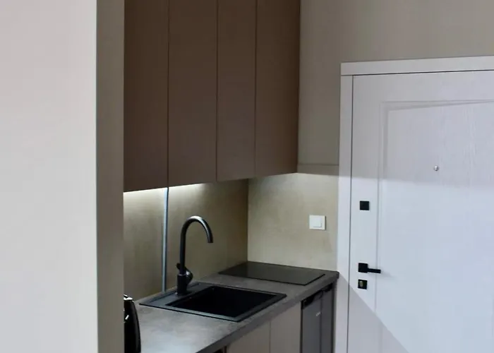 Penthouse Village Διαμέρισμα Polyana (Transcarpathia)